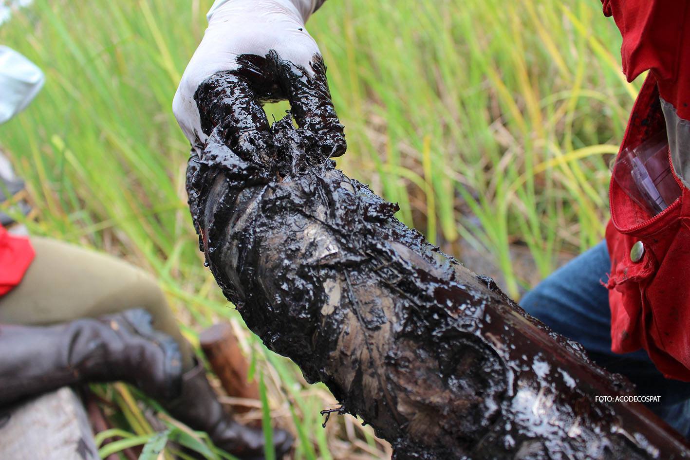 A soil sample taken in 2013 from one site inside the Pacaya Samiria National Natural Reserve in the Marañon river basin.
