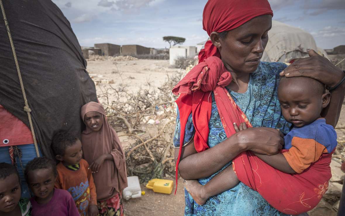 Awil_Somaliland_105369lpr.jpg