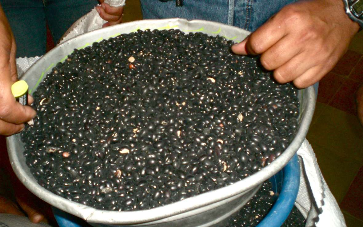 Bean Container