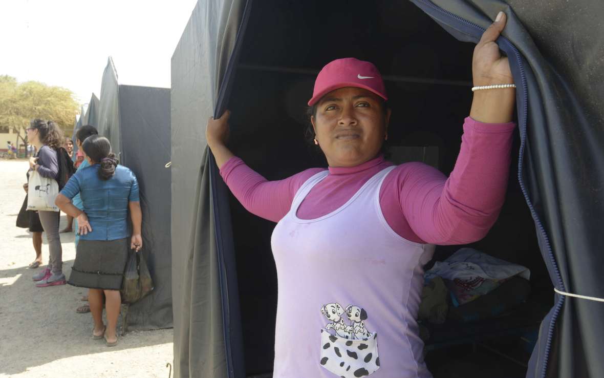 Briseida_Mendoza__web.JPG