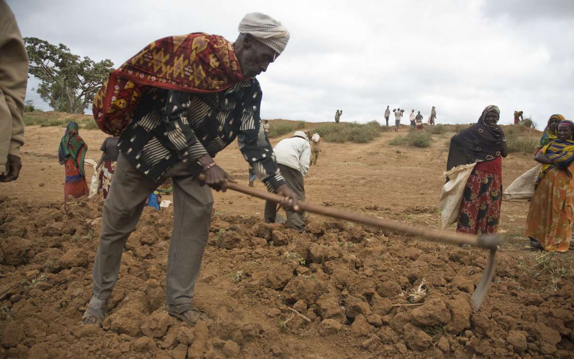 DSC-5838ELJanssonEthiopia12Aug2009.jpg