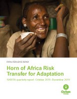 HARITA-quarterly-report-Sep-Dec-2010-thumbnail.jpg