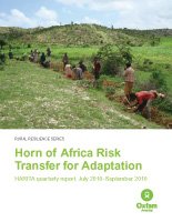 HARITA Sept report