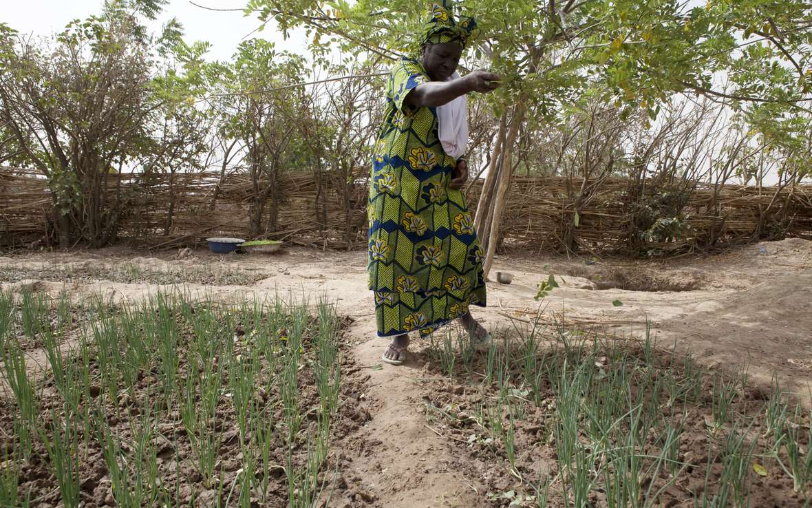 Mali_fertilizer__50242_.jpg