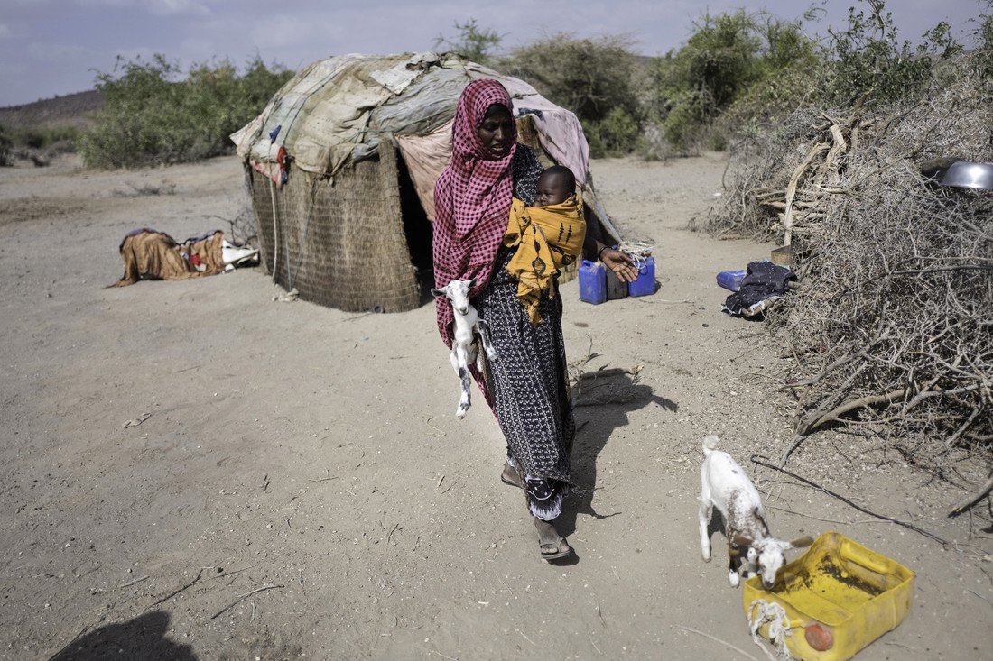  OGB_111275_Mako's Story - Ethiopia Farming.jpg 