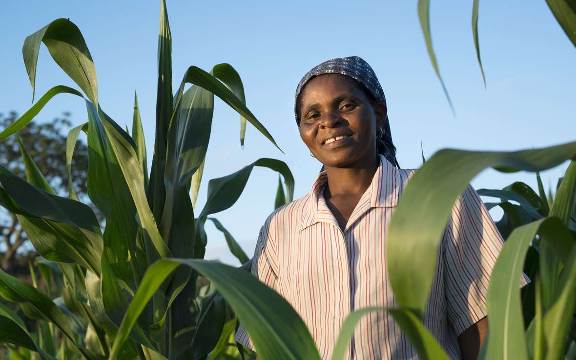OUS_52676_agriculture-1022-80-ret.jpg