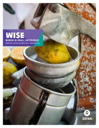 WISE-QuarterlyOct13-Feb14.jpg