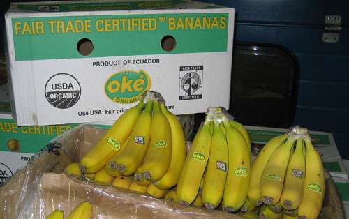 bananas