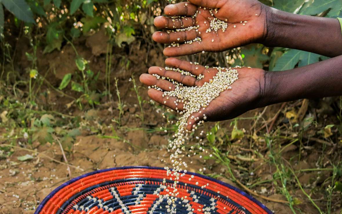 darfur-sudan-farming-seeds-oxfam.jpg