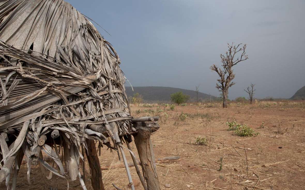 dry-season-field-in-senegal