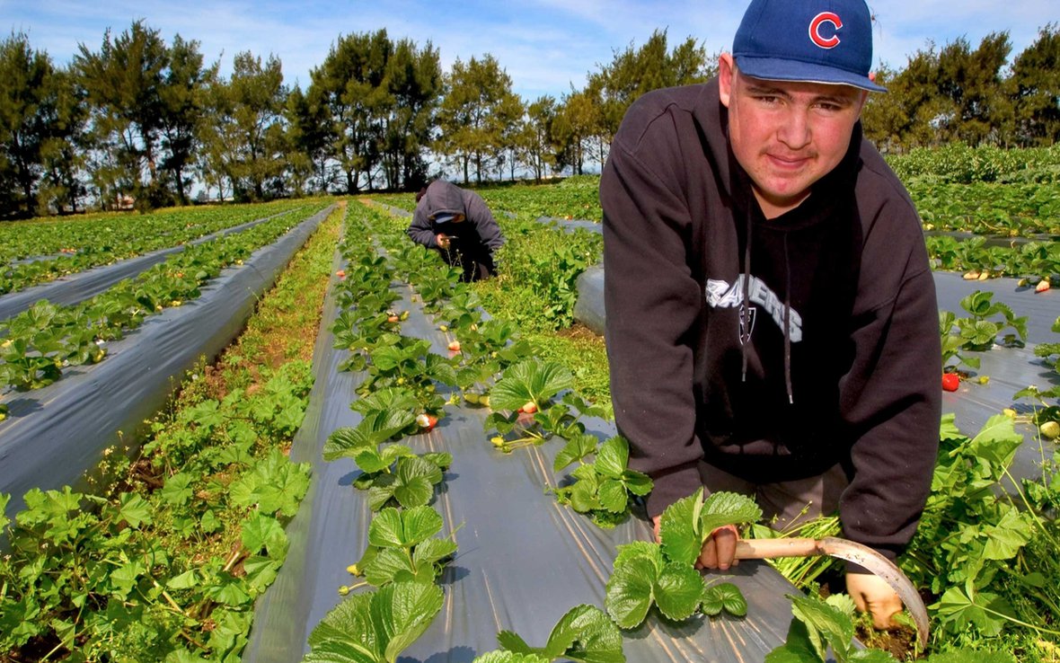 farm-worker-california-ous-38582_1220x763.jpg
