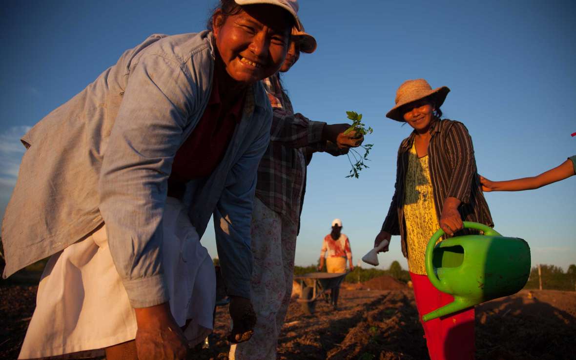 farming-bolivia-ogb-73508.jpg