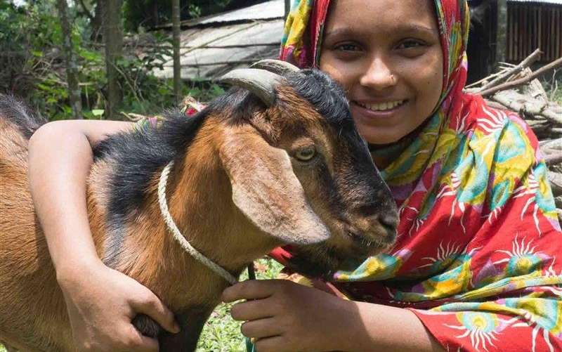 goat-bangladesh-ous-54593.jpg