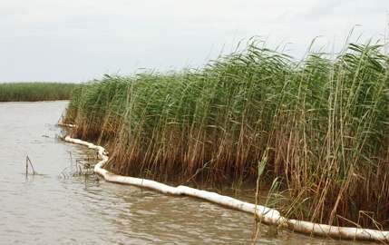 new-gulf-coast-image.jpg