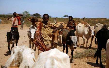 oromia-borena-drought.jpg
