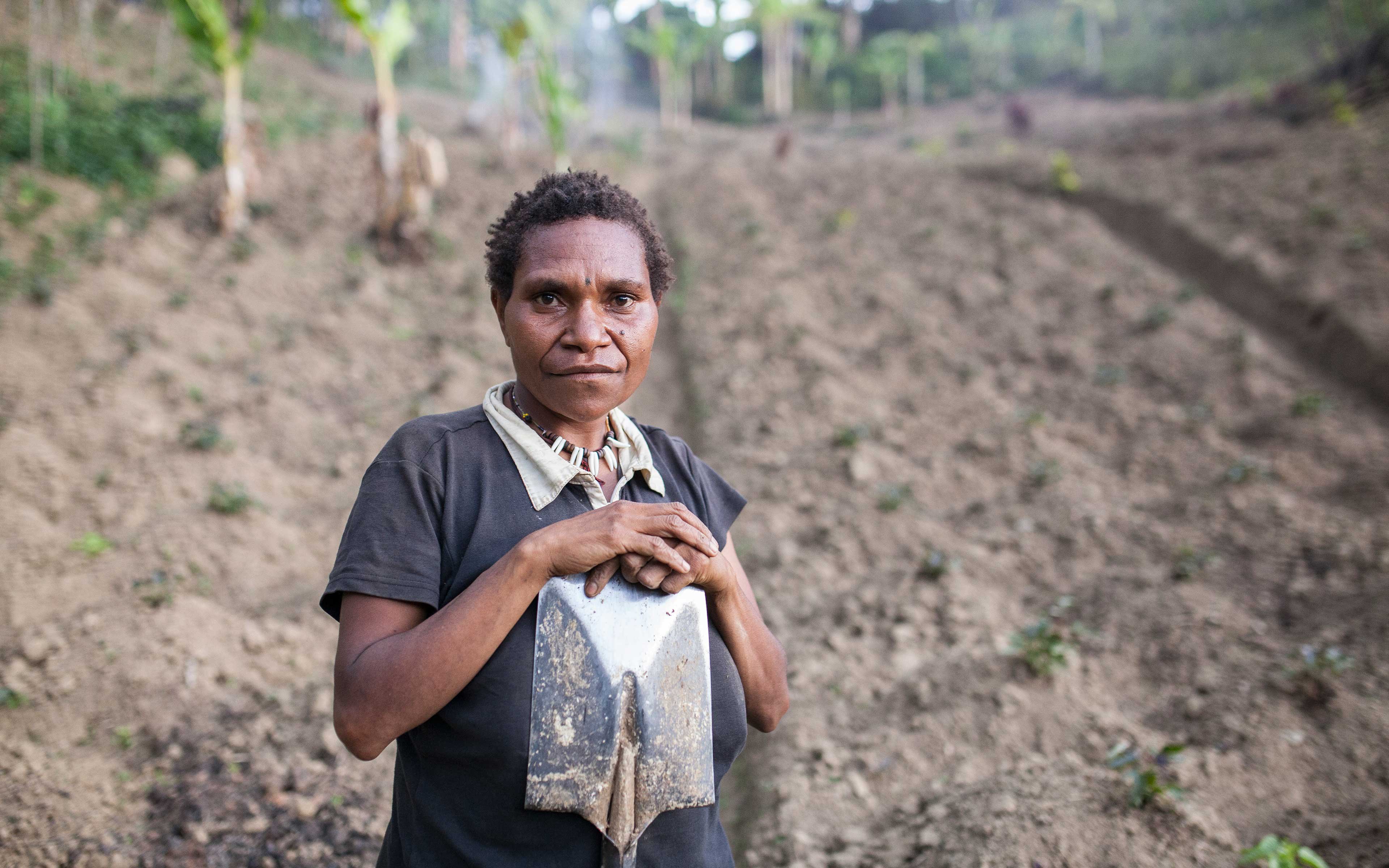 Lack of rain stunted the growth of the sweet potatoes Margaret Thomas planted. Normally, each plant would produce four or five potatoes. This season she expected just one or two. The crop is a vital source of income for Thomas and her family.