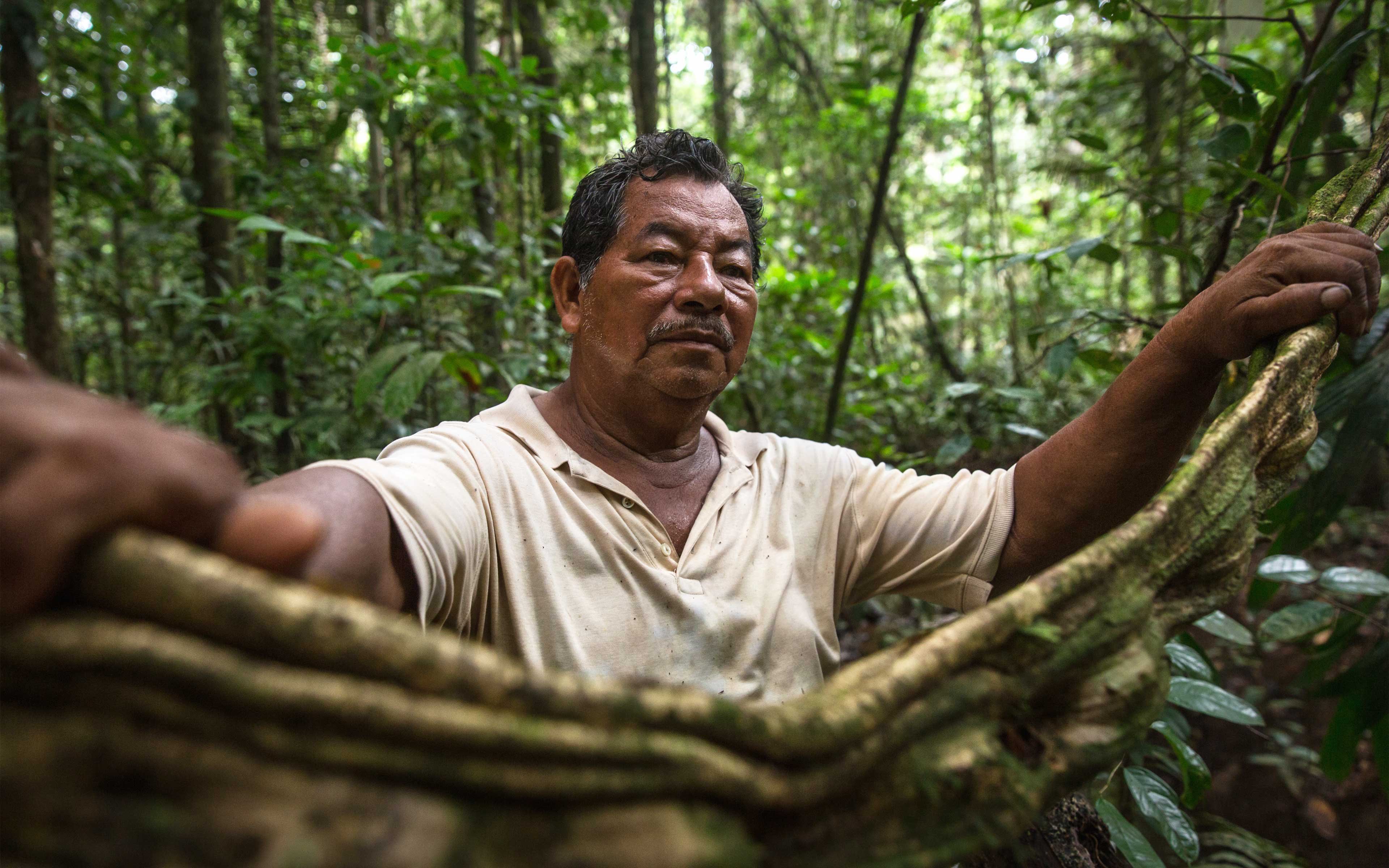 Ruperto Vasquez, 64, has a 20-hectare farm near Tamshiyacu in Peru’s northern Loreto province. He says that Cacao del Peru Norte began buying up land in this area, but that he and a few others refused to sell their land. “We love nature, and we need our government institutions to help our efforts to preserve it.”