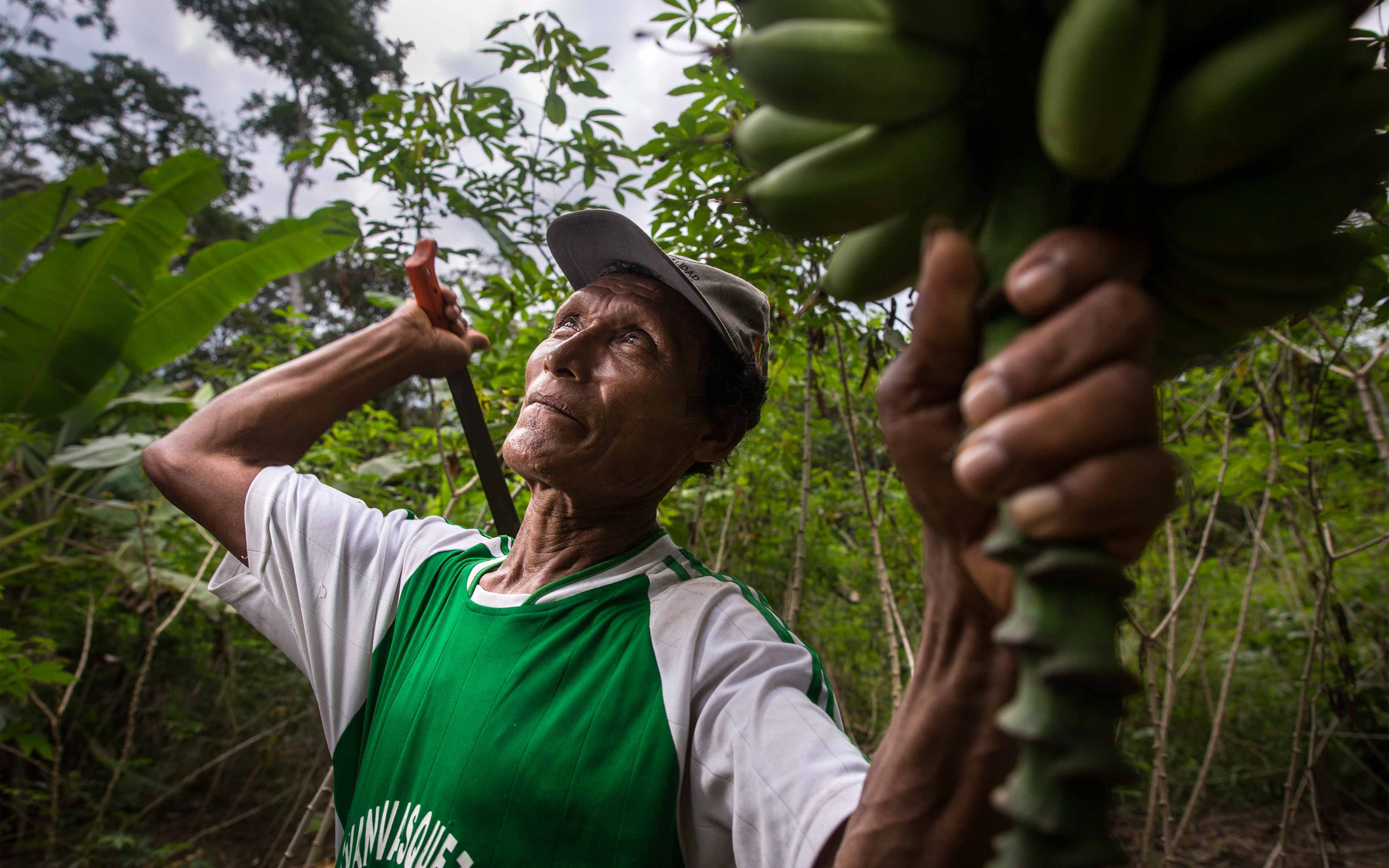 Adriano Panaifo, 62, is one of the leaders of Panguana, a fishing and farming community in Loreto.