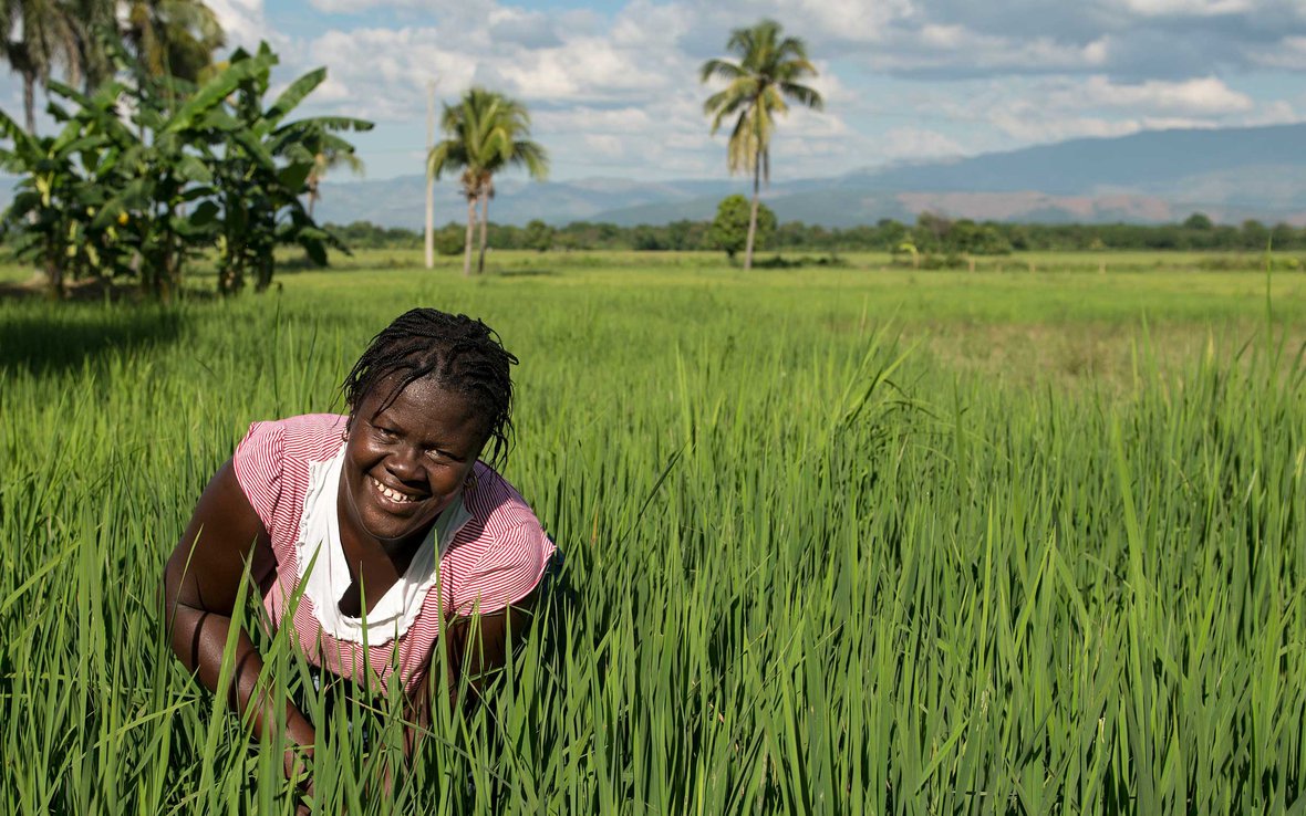 rice-farmer-haiti-sri-ous-47898.jpg