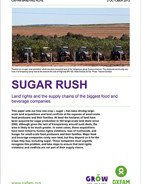 sugar-rush-thumb_1.jpg