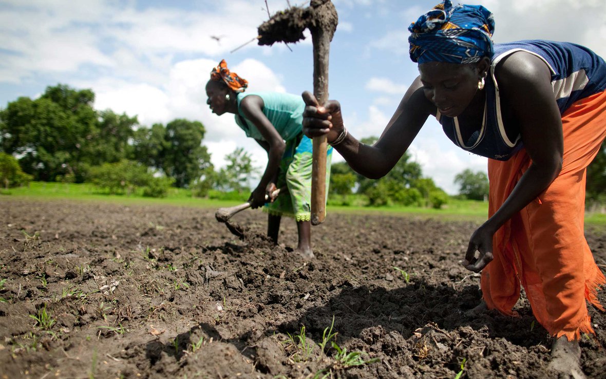 woman-in-field-kolda-senegal-ous-47225.JPG