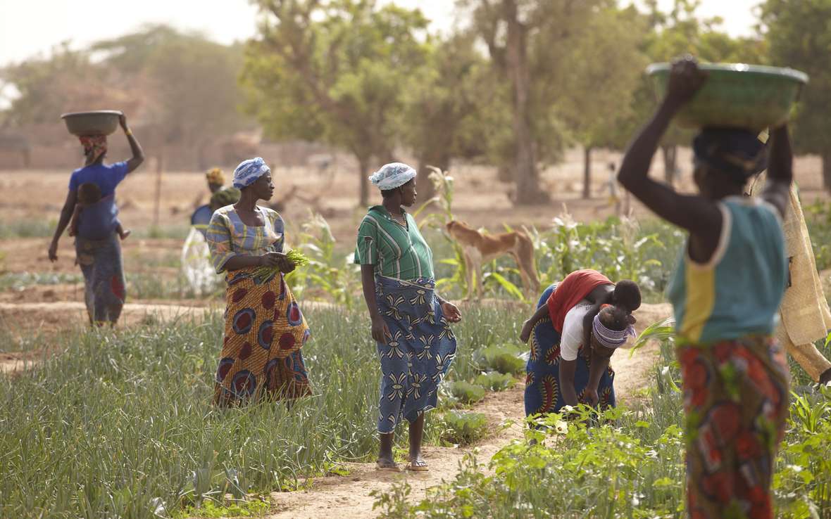women-in-garden-burkina-faso-11-june-2012